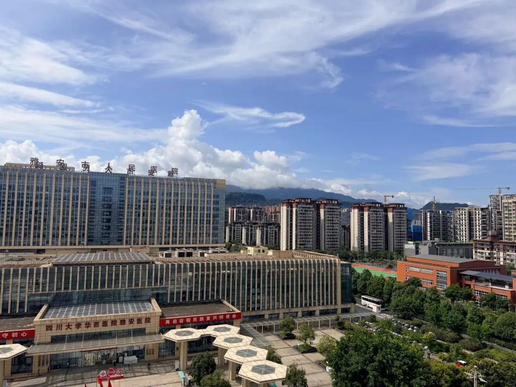 广安归去来兮智慧停车设备在四川停车场项目的部署优势分析正文配图 1
