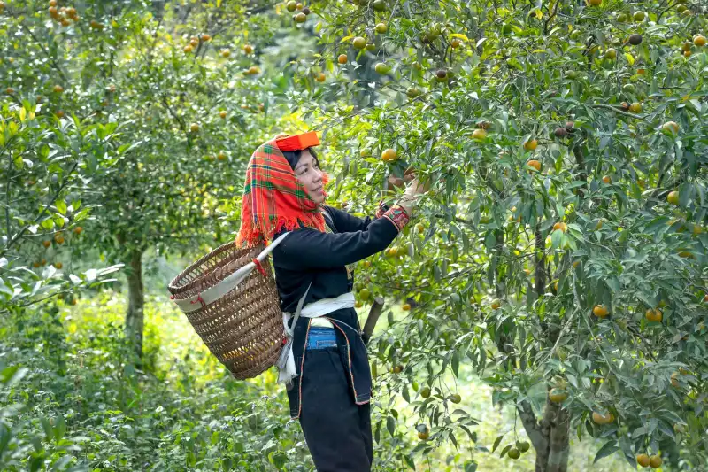 广安地区智慧停车设备技术选型与道闸控制器适配要点解析