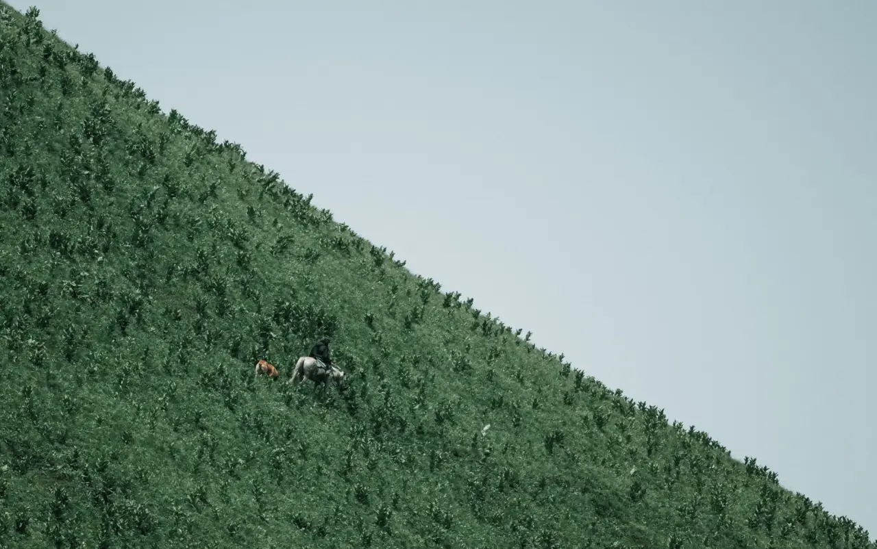 智慧停车设备与车牌识别系统在四川物业管理中的集成应用
